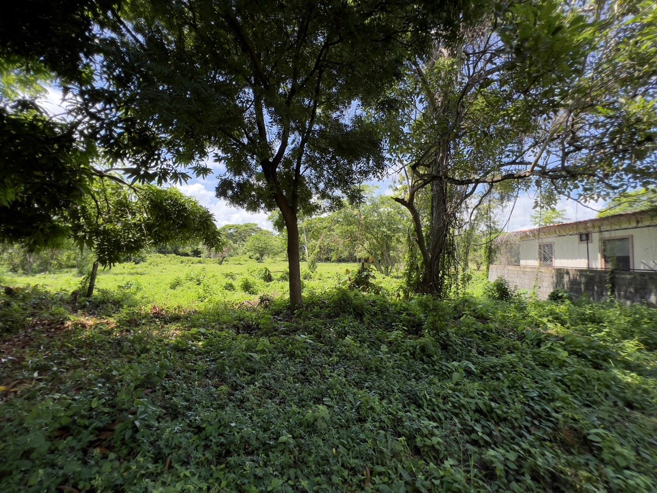 Pan American Highway Commercial Land - Just Outside Rivas - Image 18
