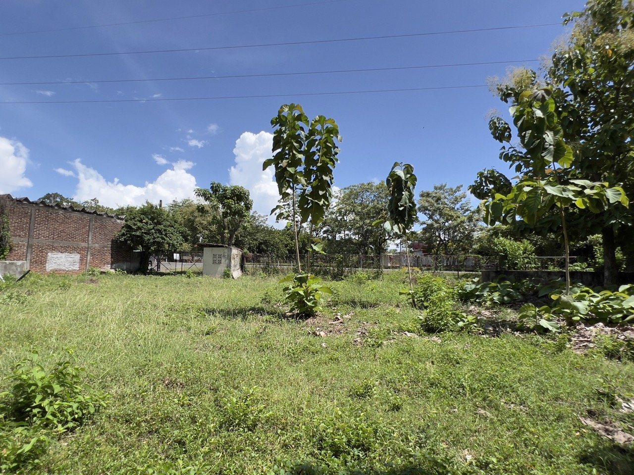 Pan American Highway Commercial Land - Just Outside Rivas - Image 16