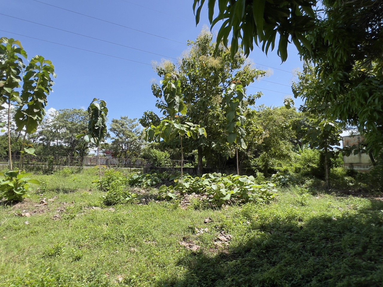 Pan American Highway Commercial Land - Just Outside Rivas - Image 15