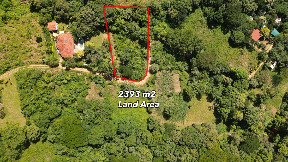 OceanView Lot in El Oro - Image 2