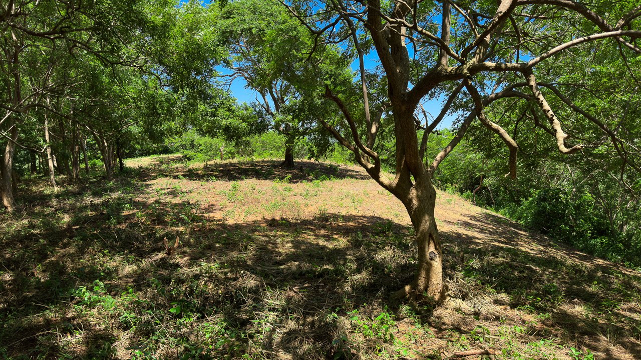 Mountain & Valley View Acreage - Image 7