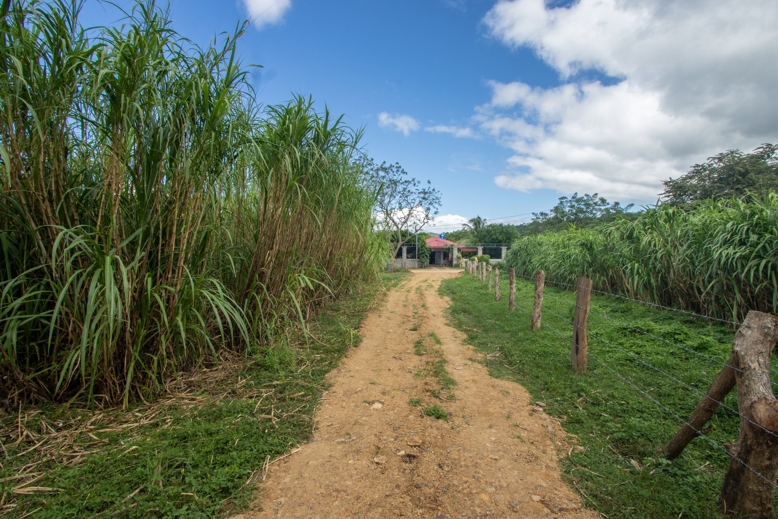 Beautiful casita at San Rafael del Valle - Image 10