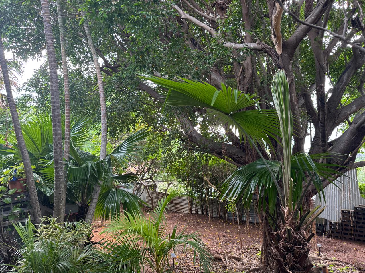 SOLD - Bavaria Pequeña Bungalow - Image 14