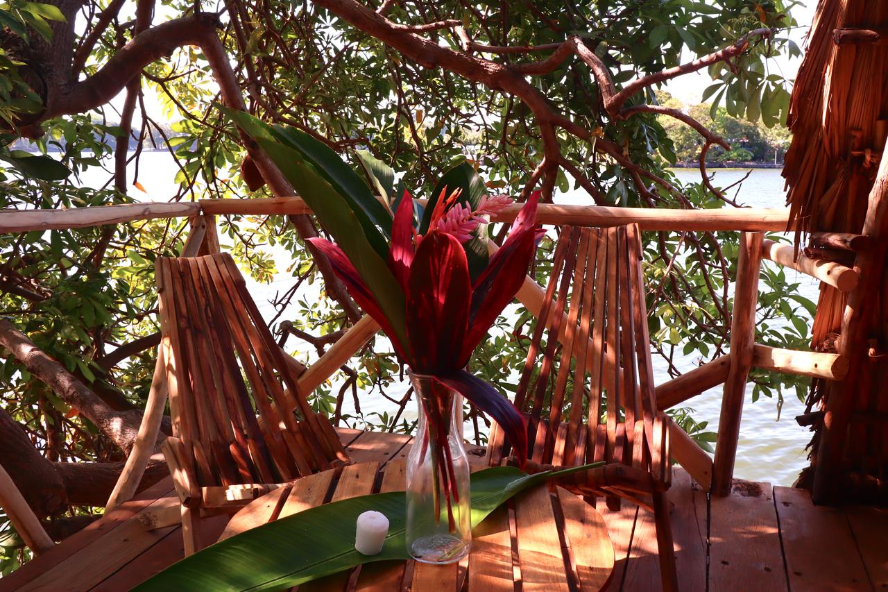 Own a Private Island with a Treehouse Boutique Lodge - Image 10