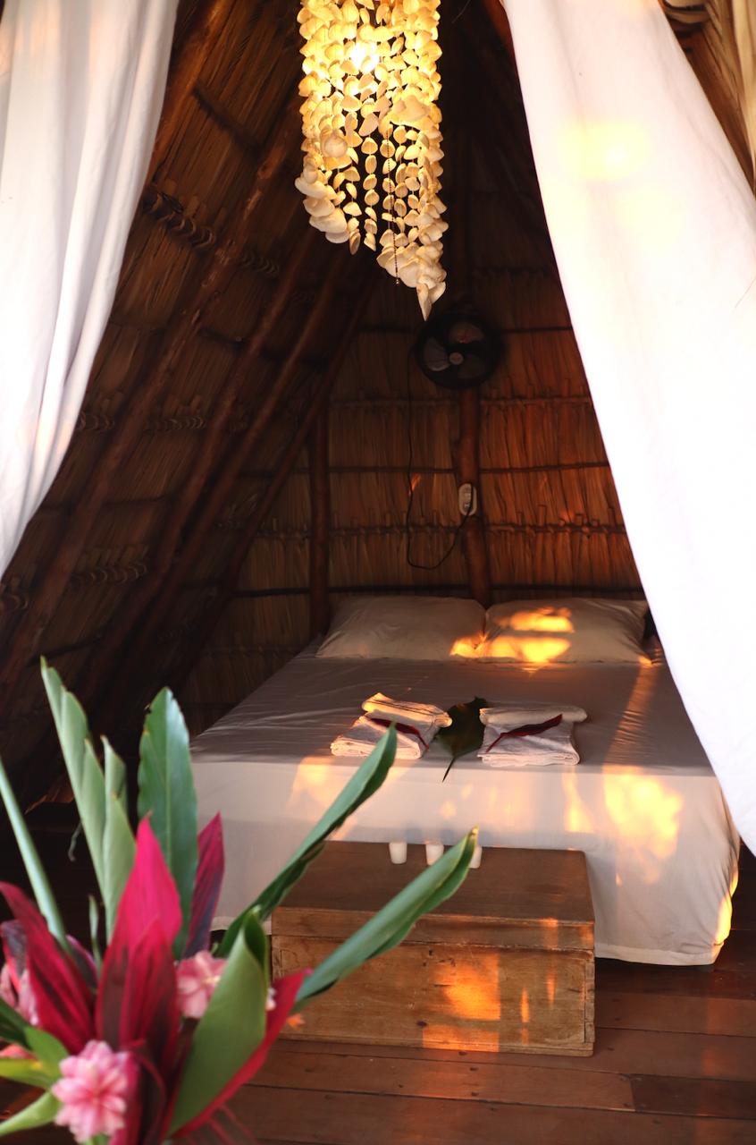 Own a Private Island with a Treehouse Boutique Lodge - Image 13