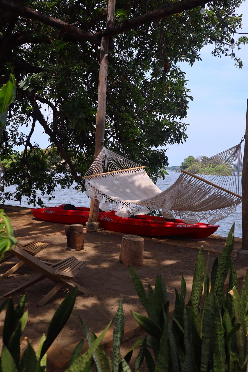 Own a Private Island with a Treehouse Boutique Lodge - Image 19