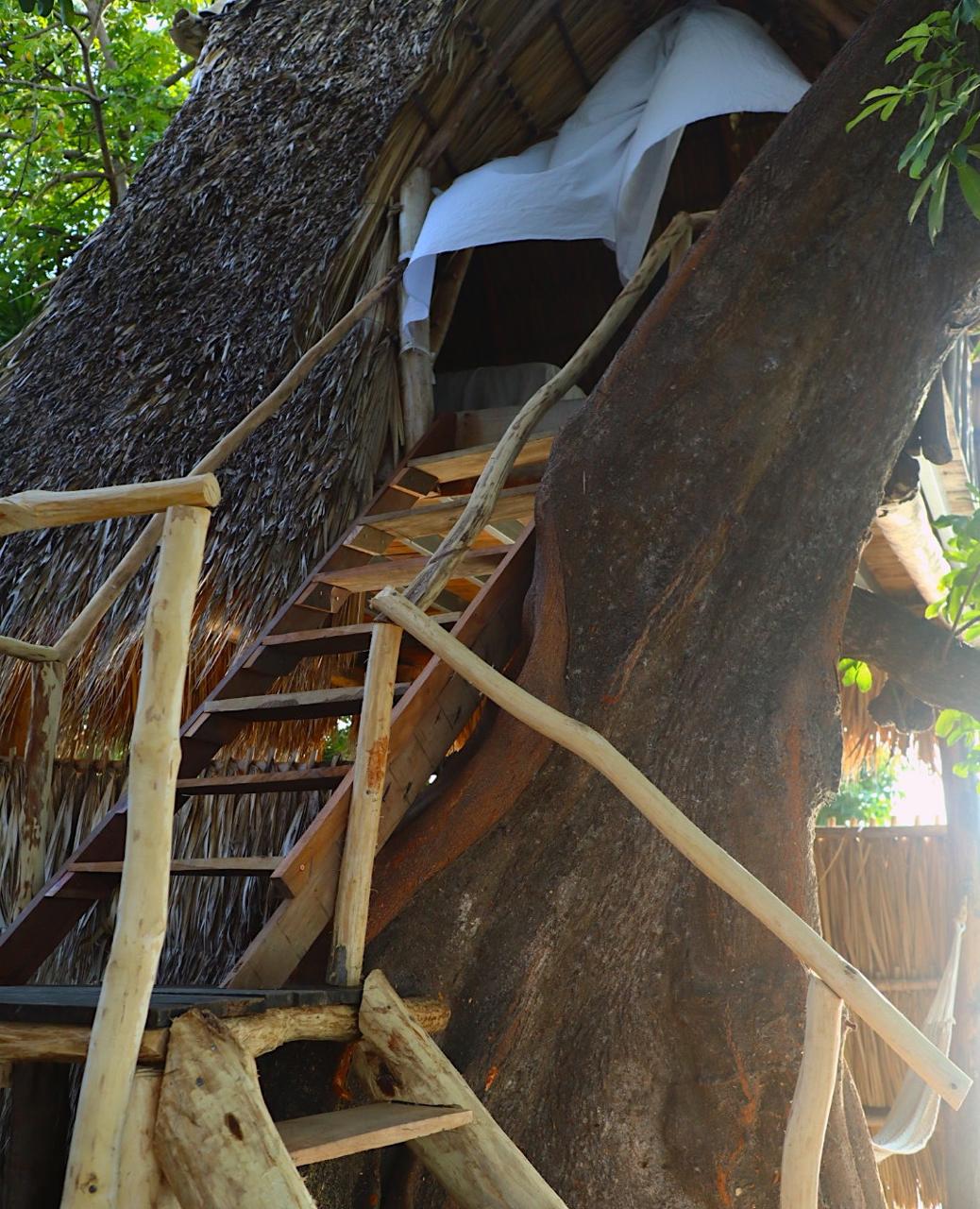 Own a Private Island with a Treehouse Boutique Lodge - Image 21