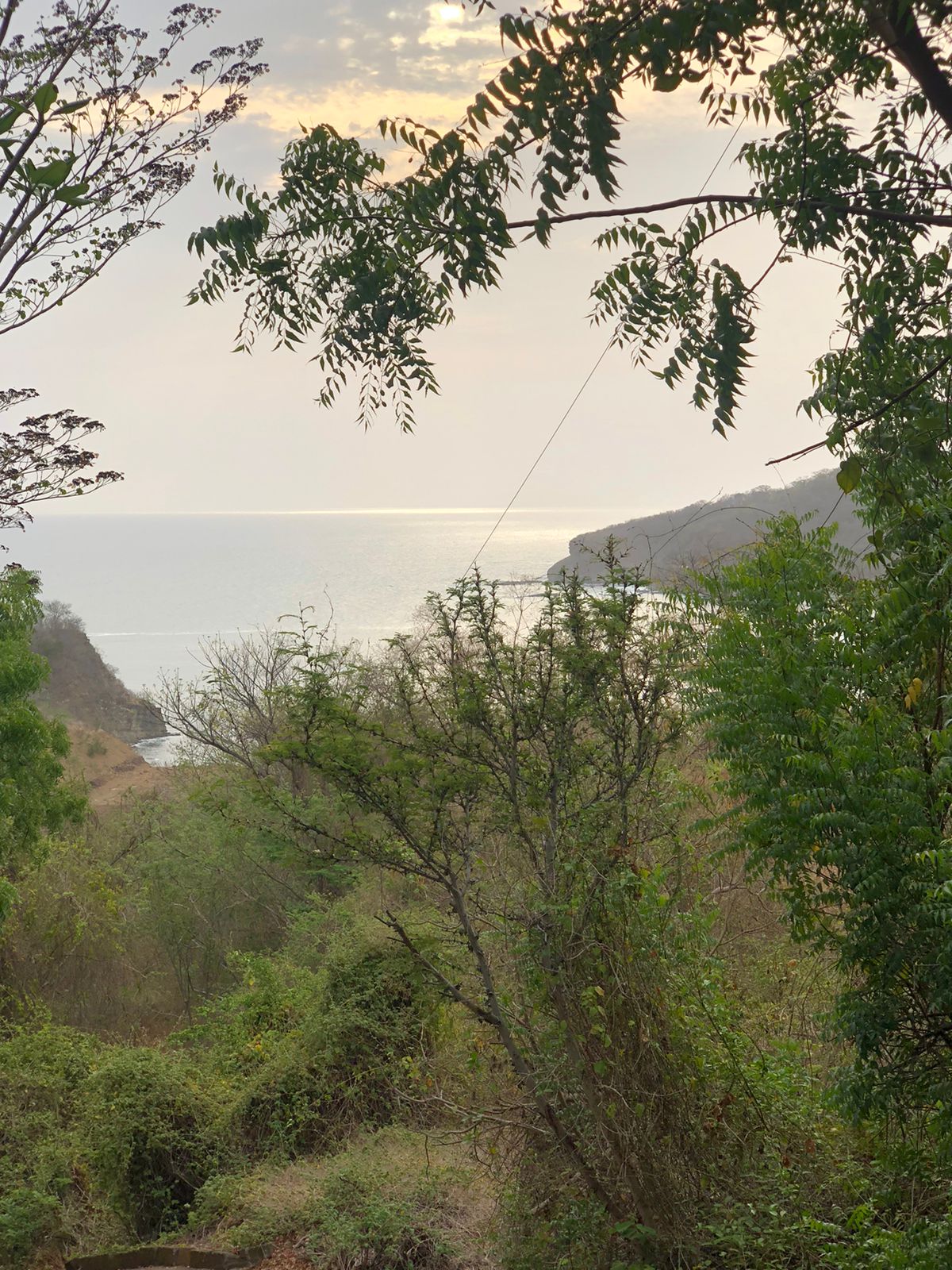 Rare Opportunity Ocean View Lot in Pacific Marlin - Image 5