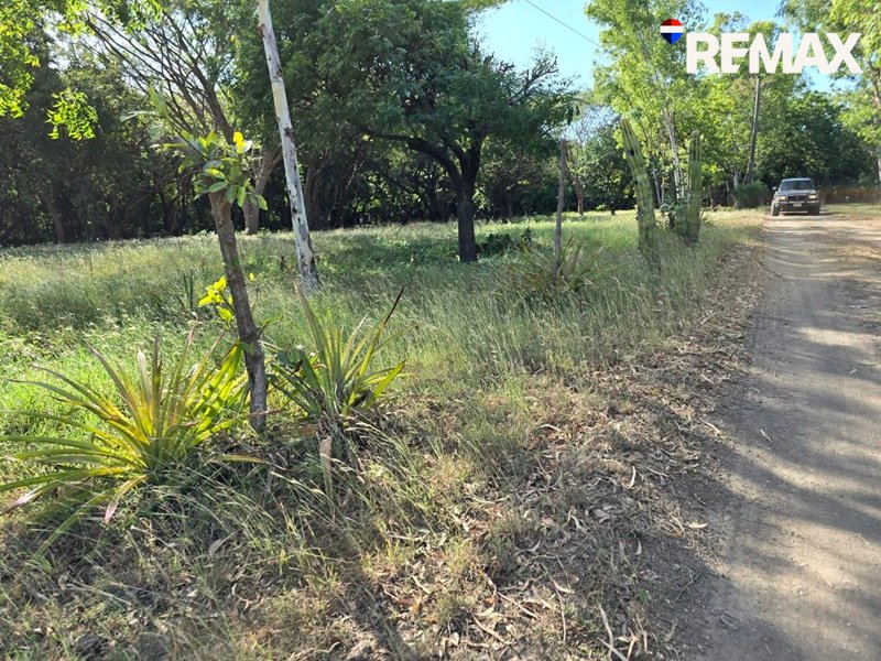 Affordable Beach Lot - Image 10