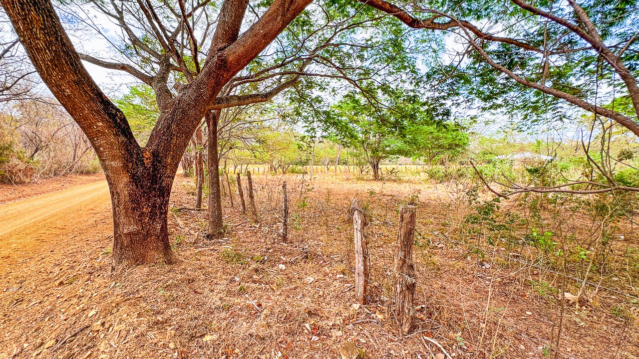 Off-Grid 4.25 Acres in Fincas de Escamequita - Image 10