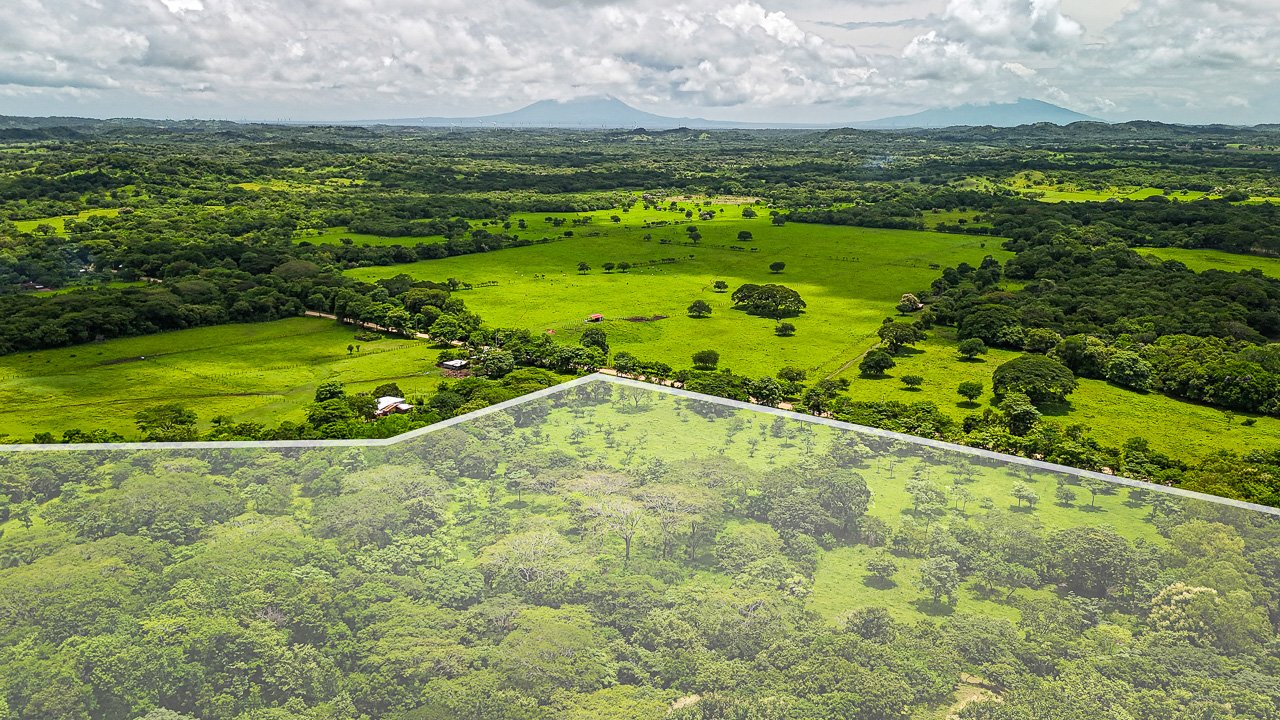 Lakeview Farm Near the Beaches - Image 8