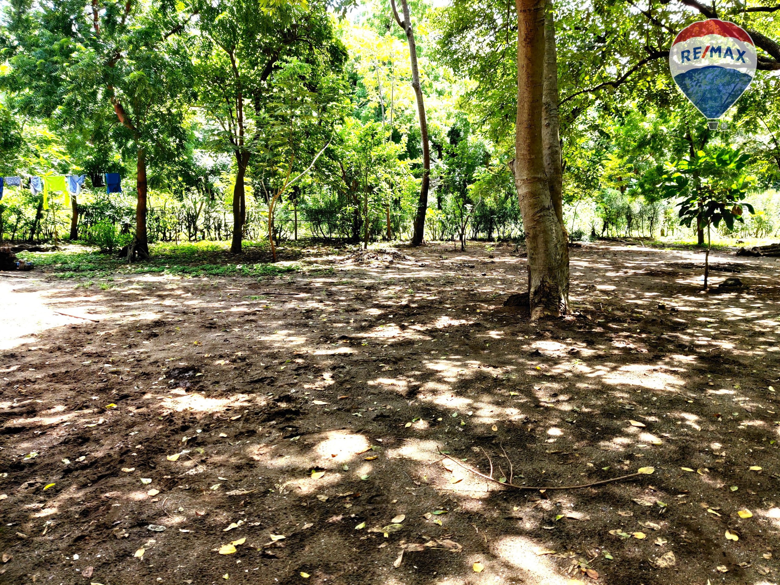 Five Beach Lots For Sale as a Single Package! - Image 31
