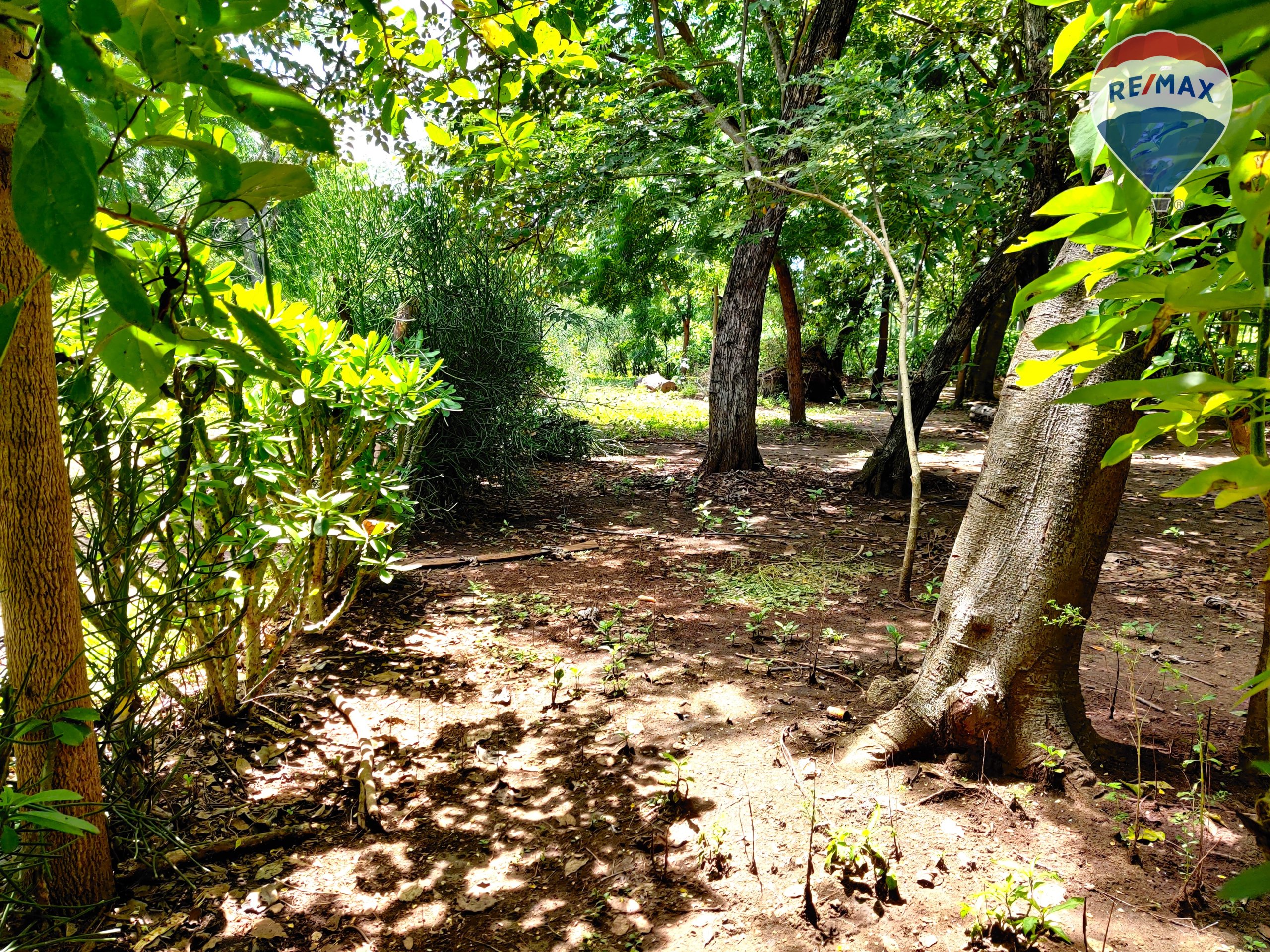 Five Beach Lots For Sale as a Single Package! - Image 30