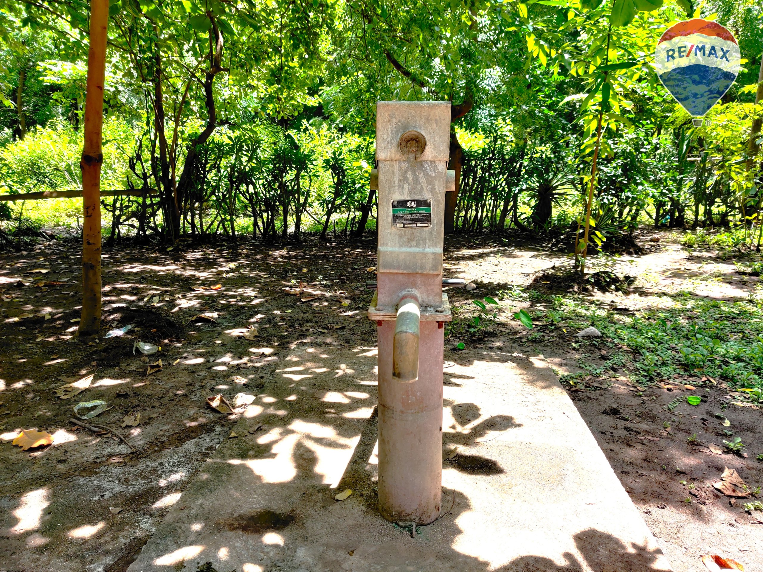 Five Beach Lots For Sale as a Single Package! - Image 29