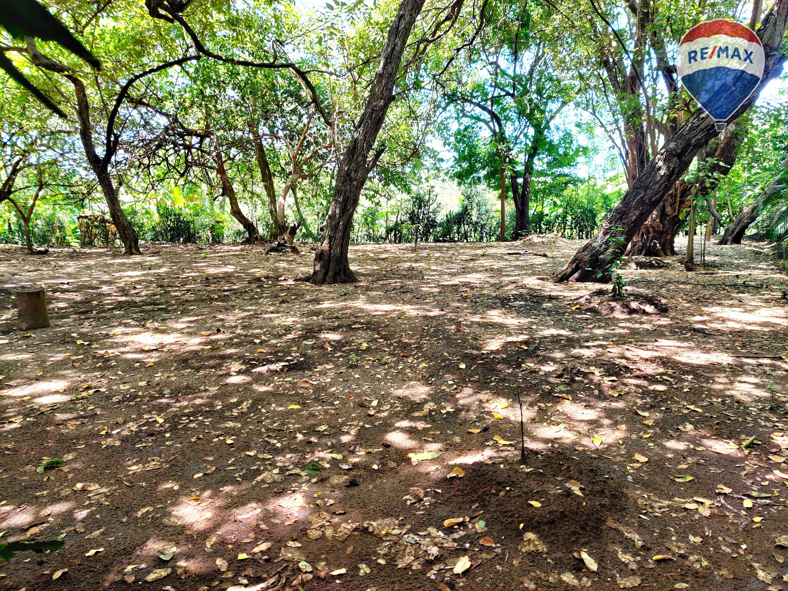 Five Beach Lots For Sale as a Single Package! - Image 20