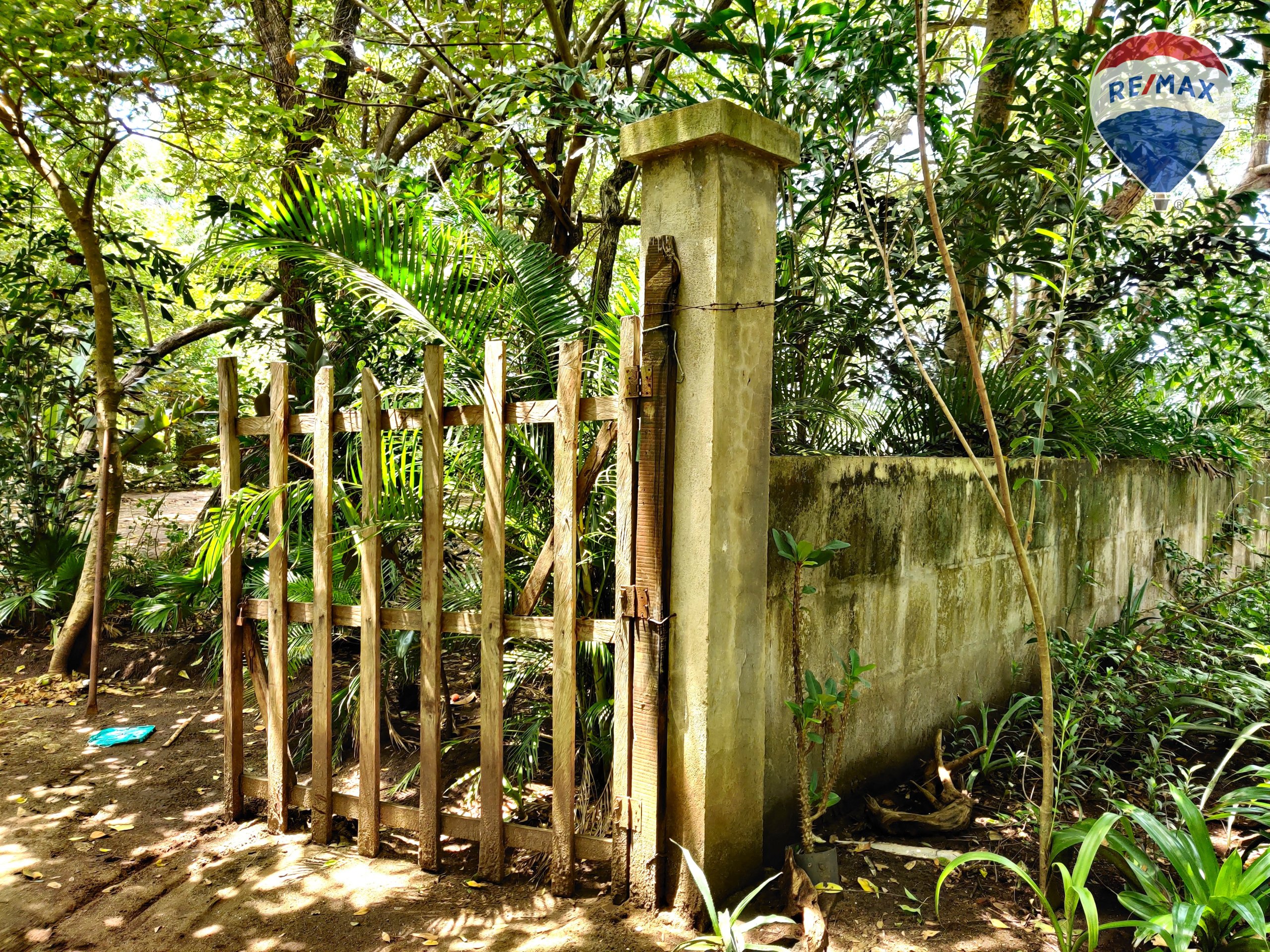Five Beach Lots For Sale as a Single Package! - Image 19