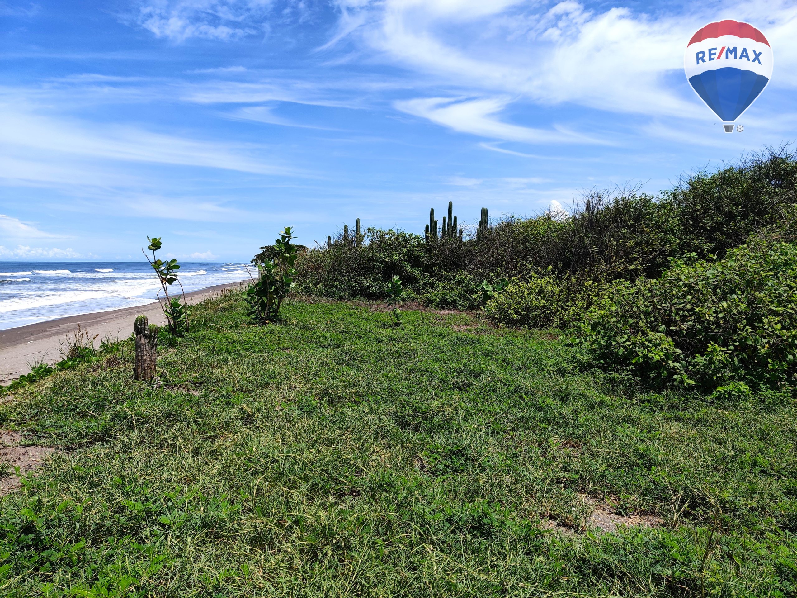 Five Beach Lots For Sale as a Single Package! - Image 13