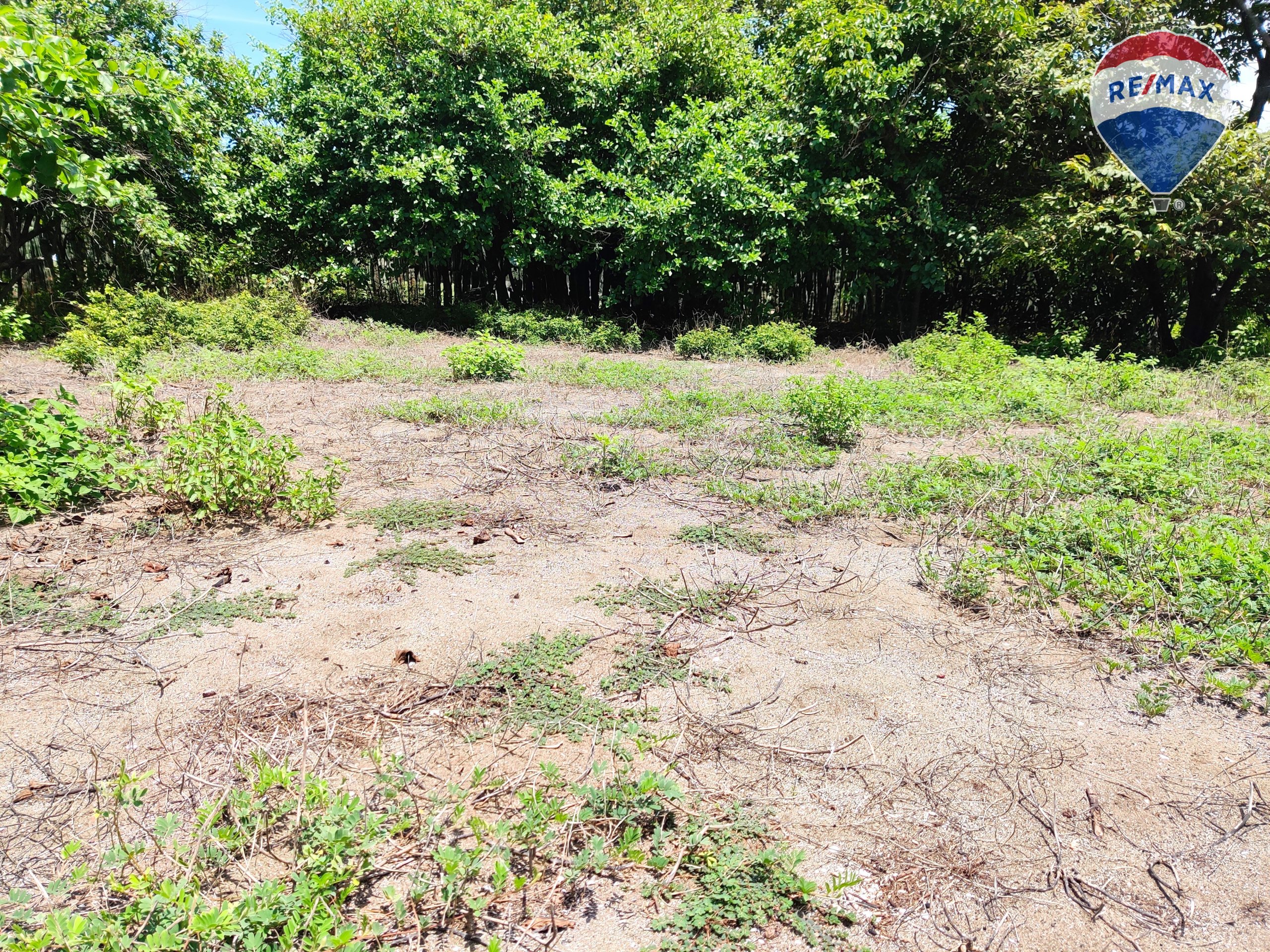Five Beach Lots For Sale as a Single Package! - Image 11
