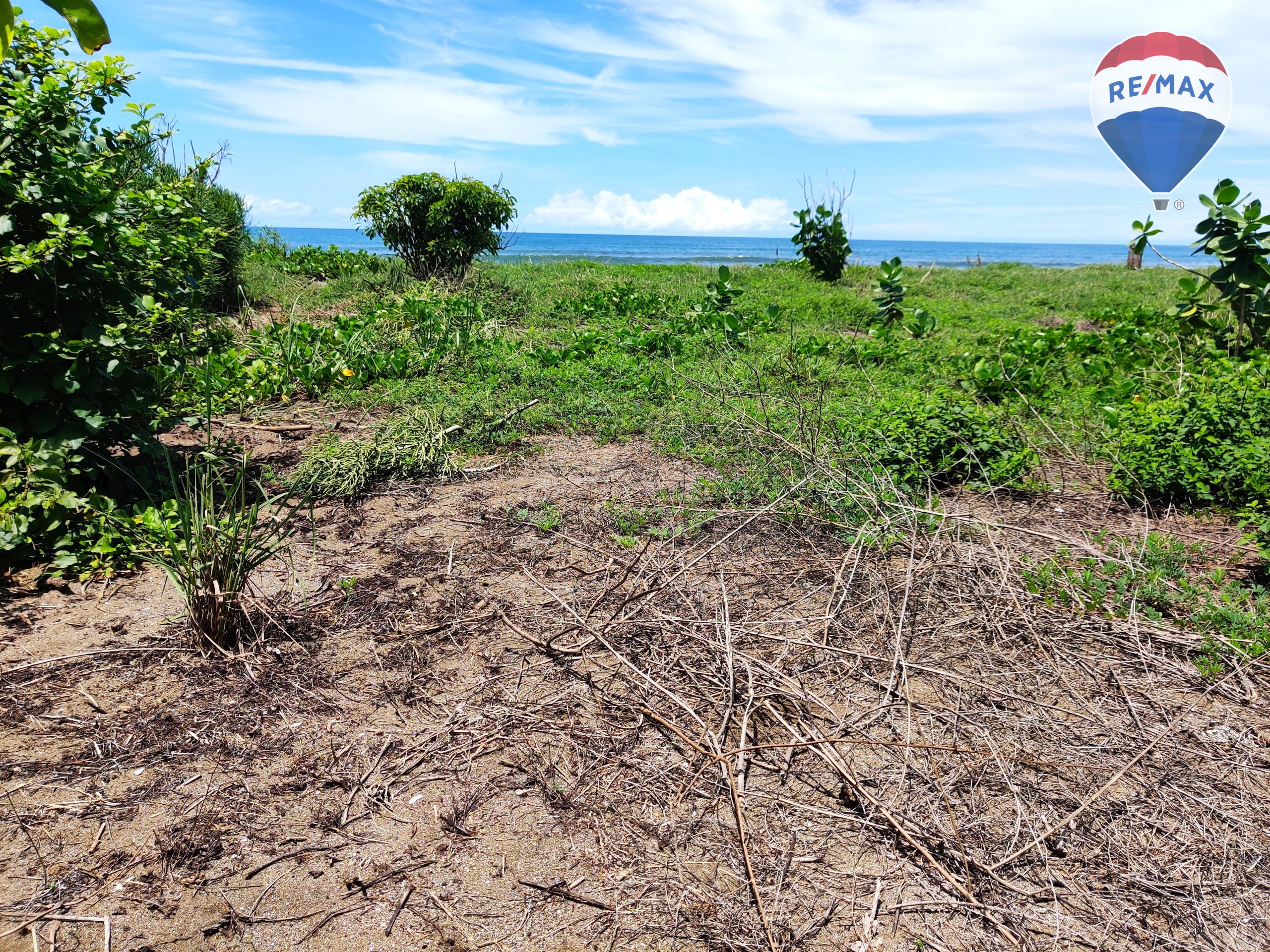 Five Beach Lots For Sale as a Single Package! - Image 5