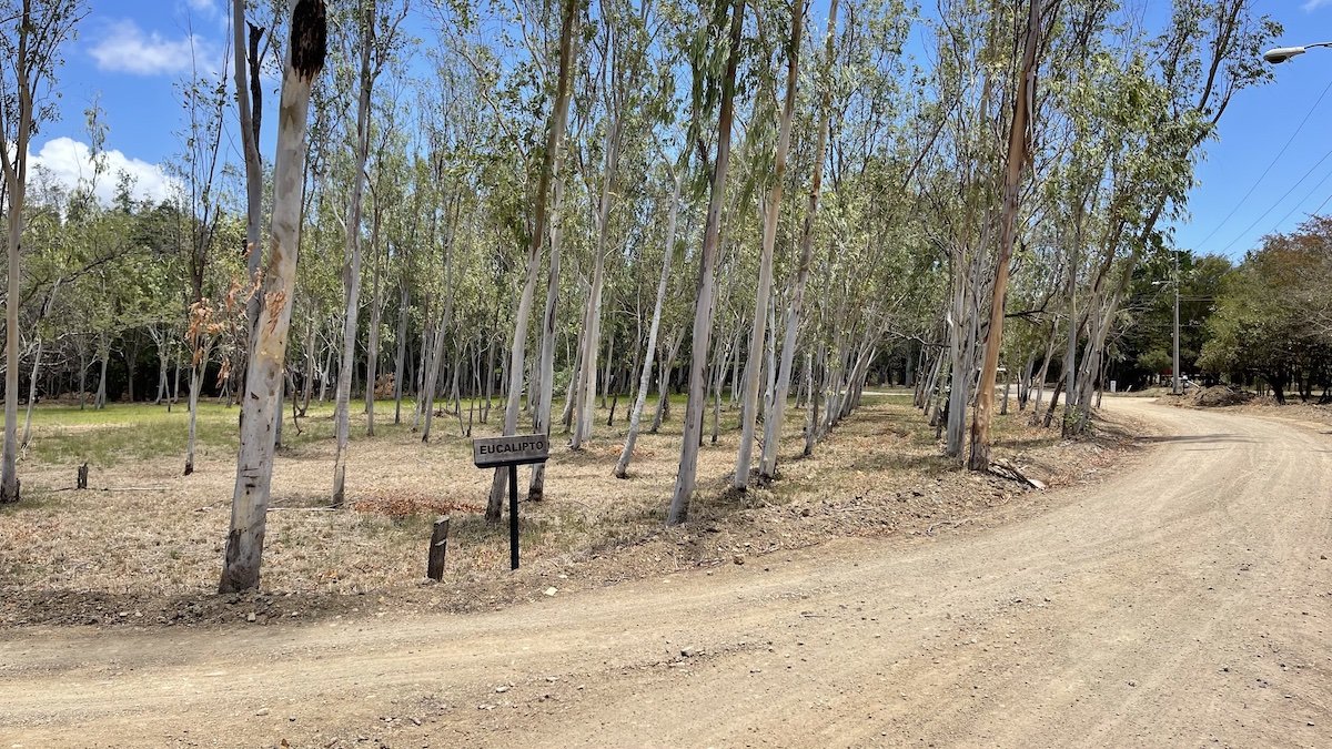 Enormous Golf Course Lot Steps from the Beach & Surf - Image 5