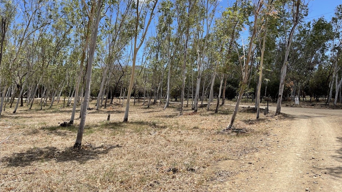 Enormous Golf Course Lot Steps from the Beach & Surf - Image 7