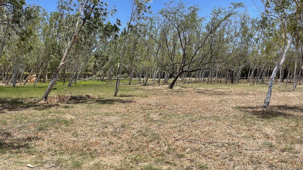 Enormous Golf Course Lot Steps from the Beach & Surf - Image 9