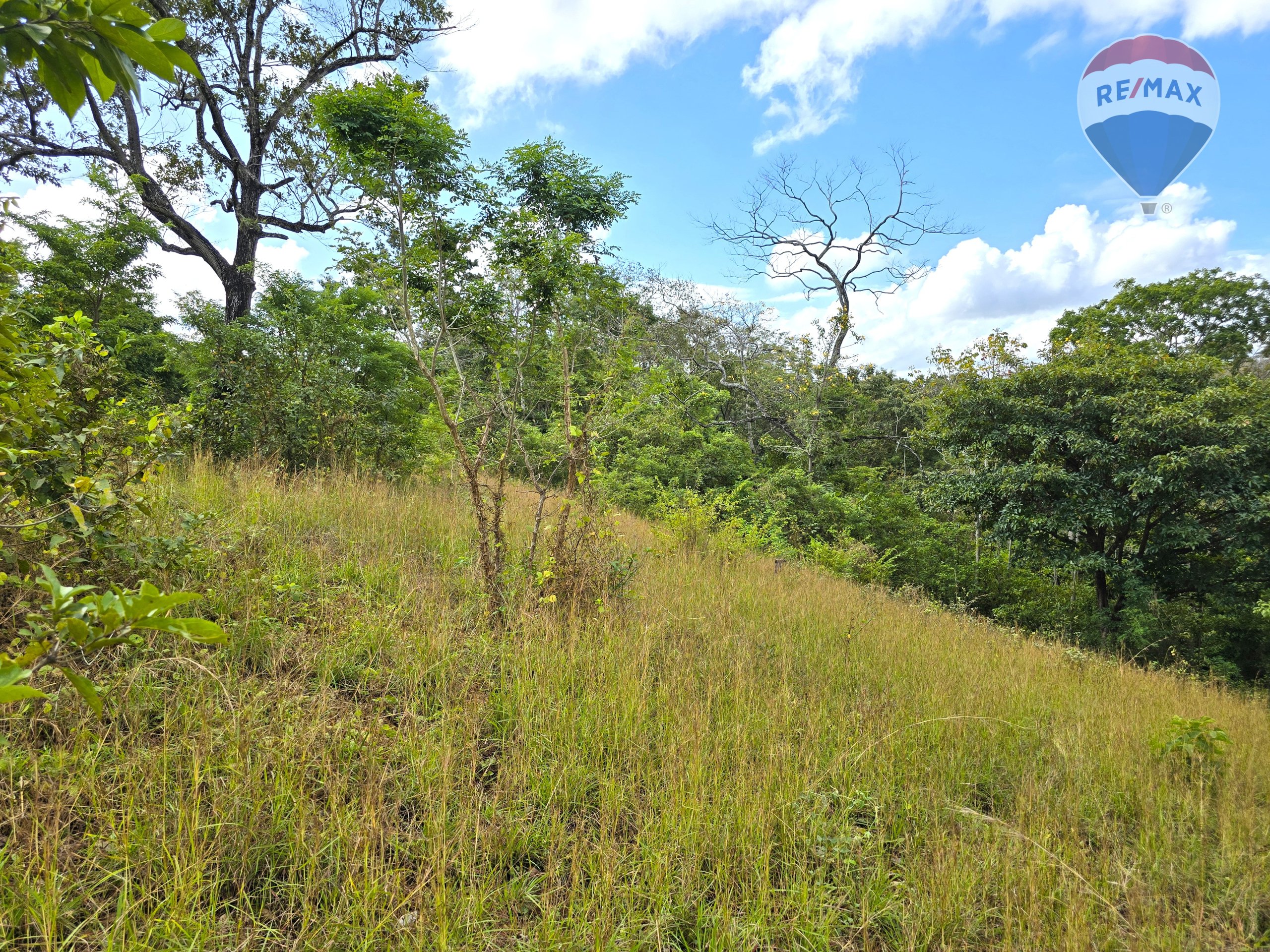 Hermosa Finca de 8 Manzanas cerca del Volcán Mombacho - Image 11