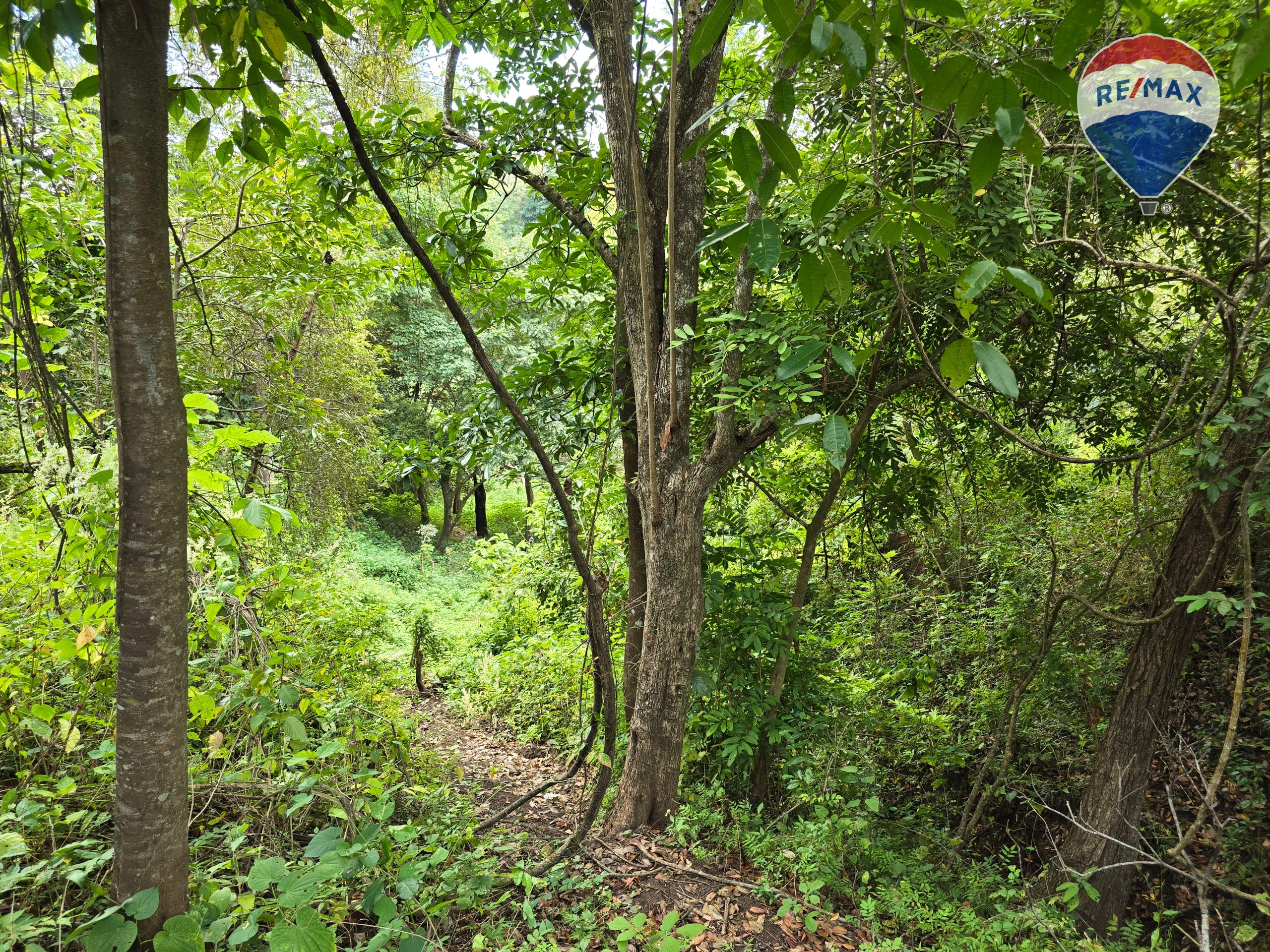 Hermosa Finca de 8 Manzanas cerca del Volcán Mombacho - Image 12