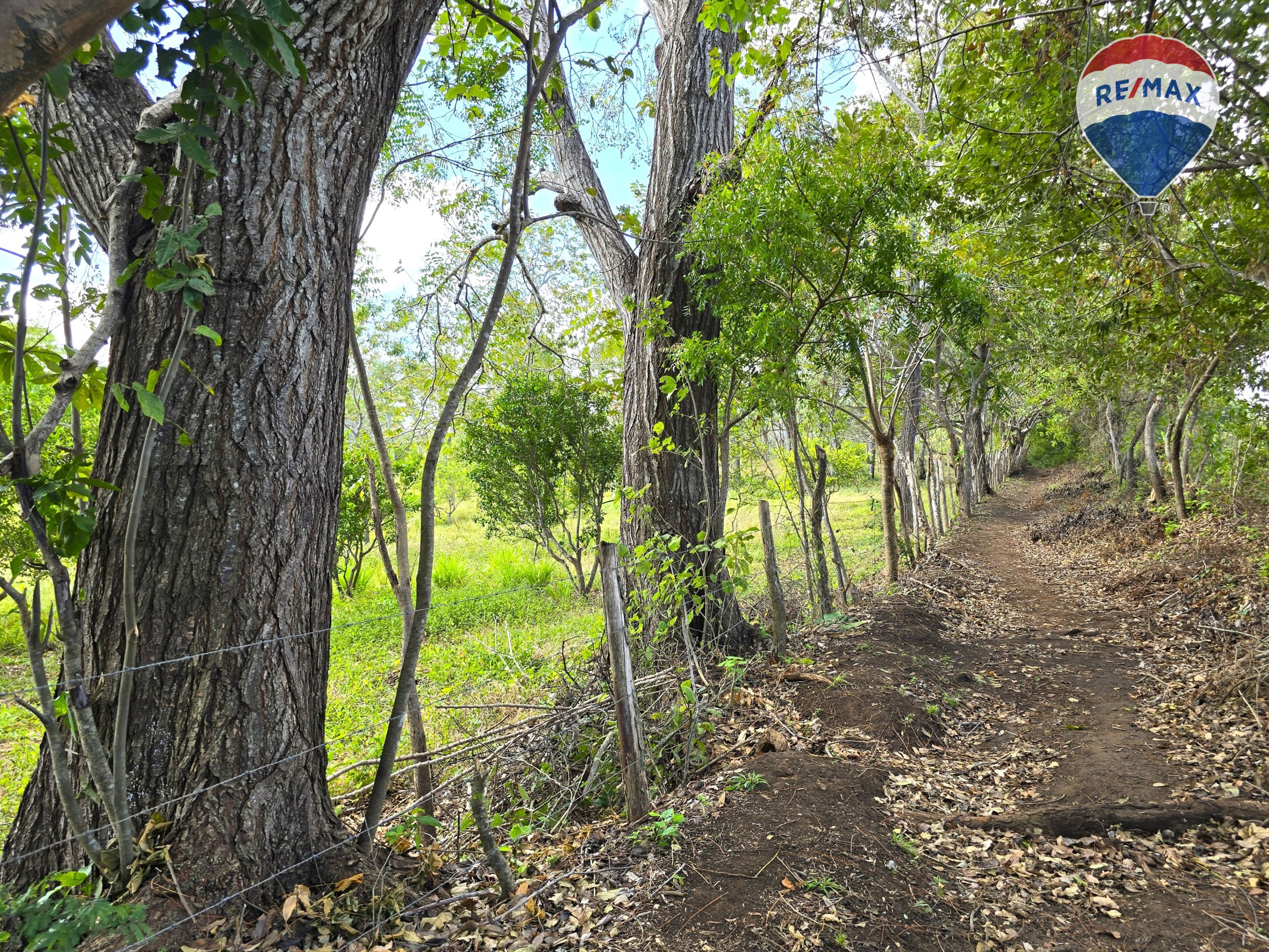 Hermosa Finca de 8 Manzanas cerca del Volcán Mombacho - Image 18