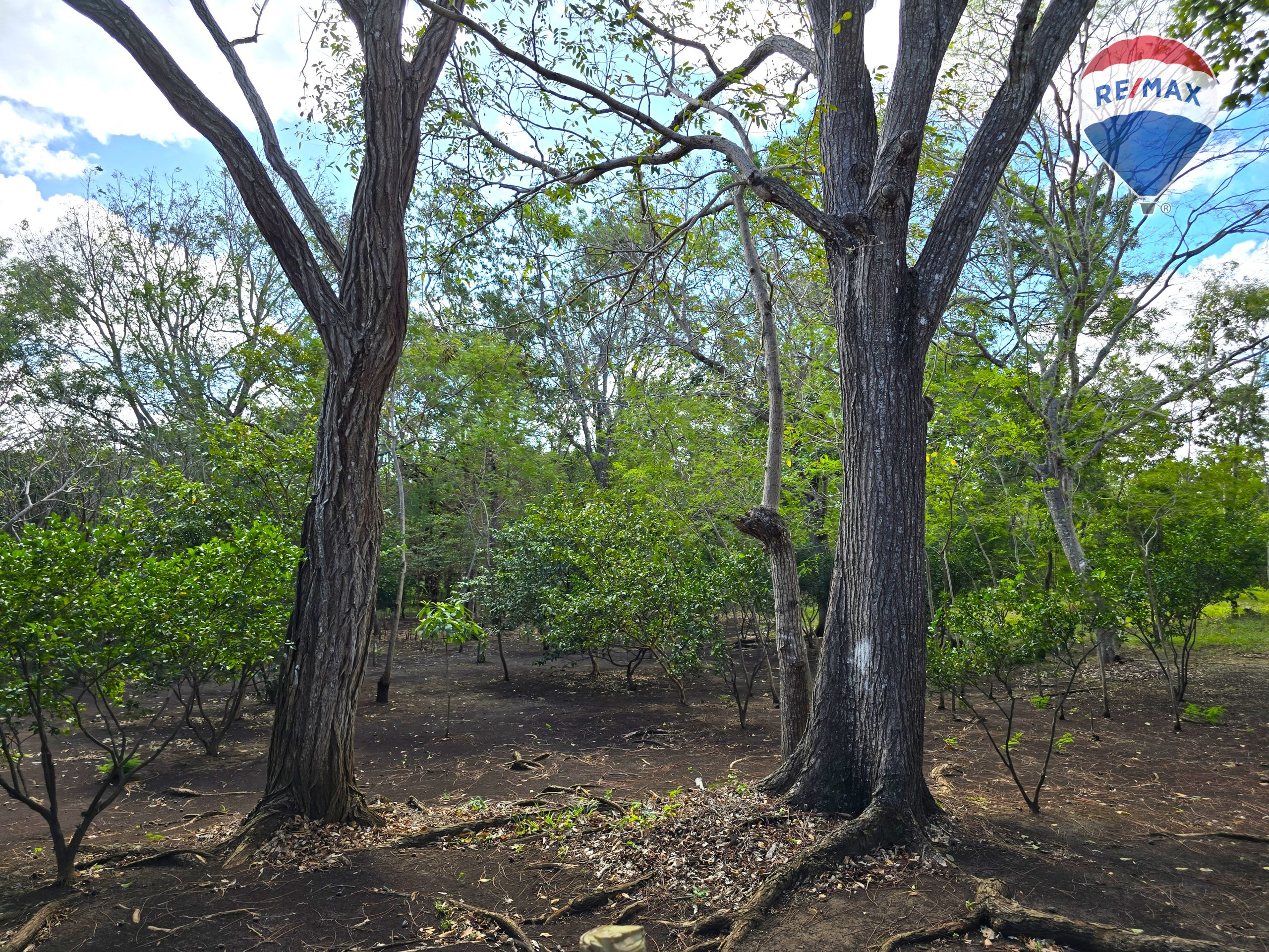 Hermosa Finca de 8 Manzanas cerca del Volcán Mombacho - Image 22