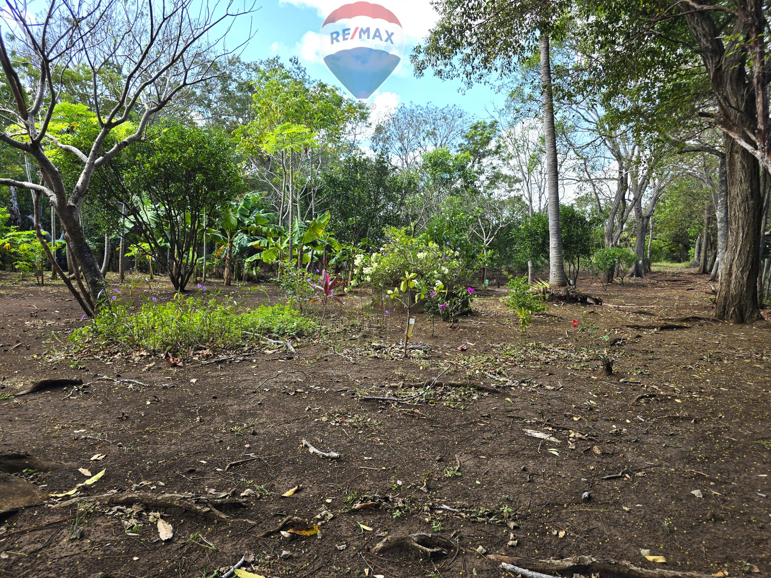 Hermosa Finca de 8 Manzanas cerca del Volcán Mombacho - Image 25