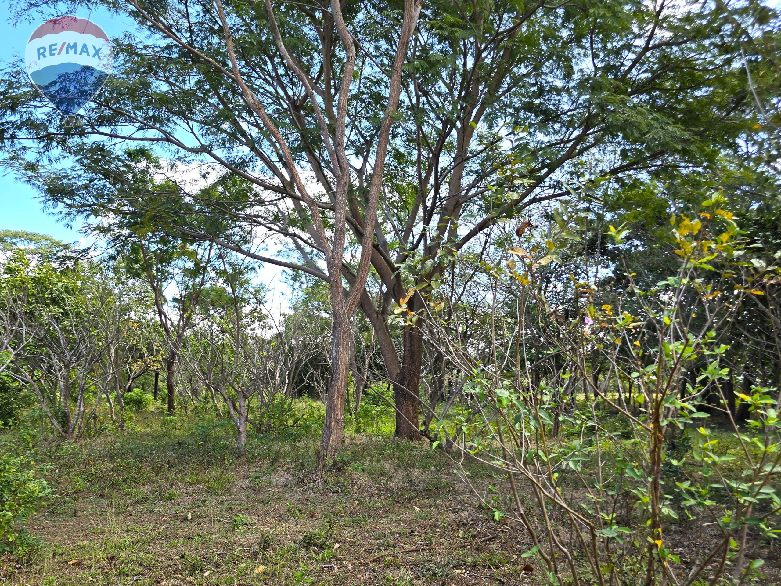 Hermosa Finca de 8 Manzanas cerca del Volcán Mombacho - Image 28