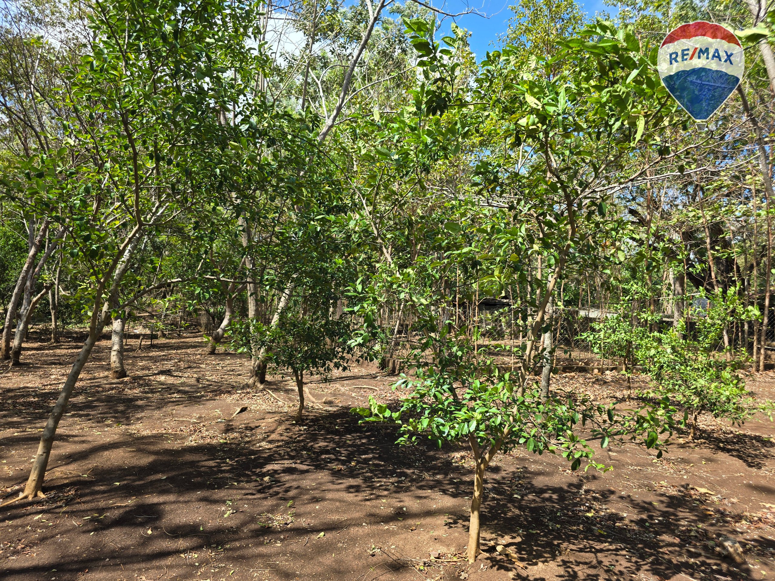 Hermosa Finca de 8 Manzanas cerca del Volcán Mombacho - Image 46