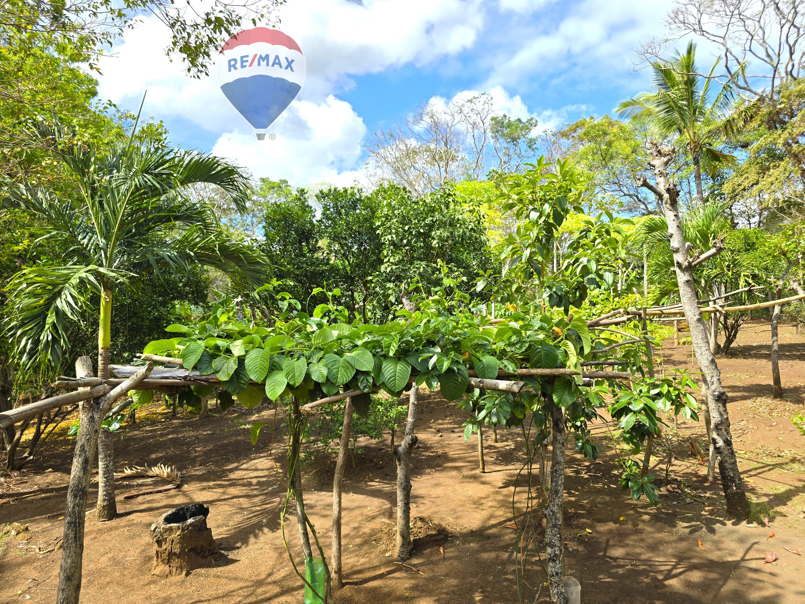 Hermosa Finca de 8 Manzanas cerca del Volcán Mombacho - Image 5