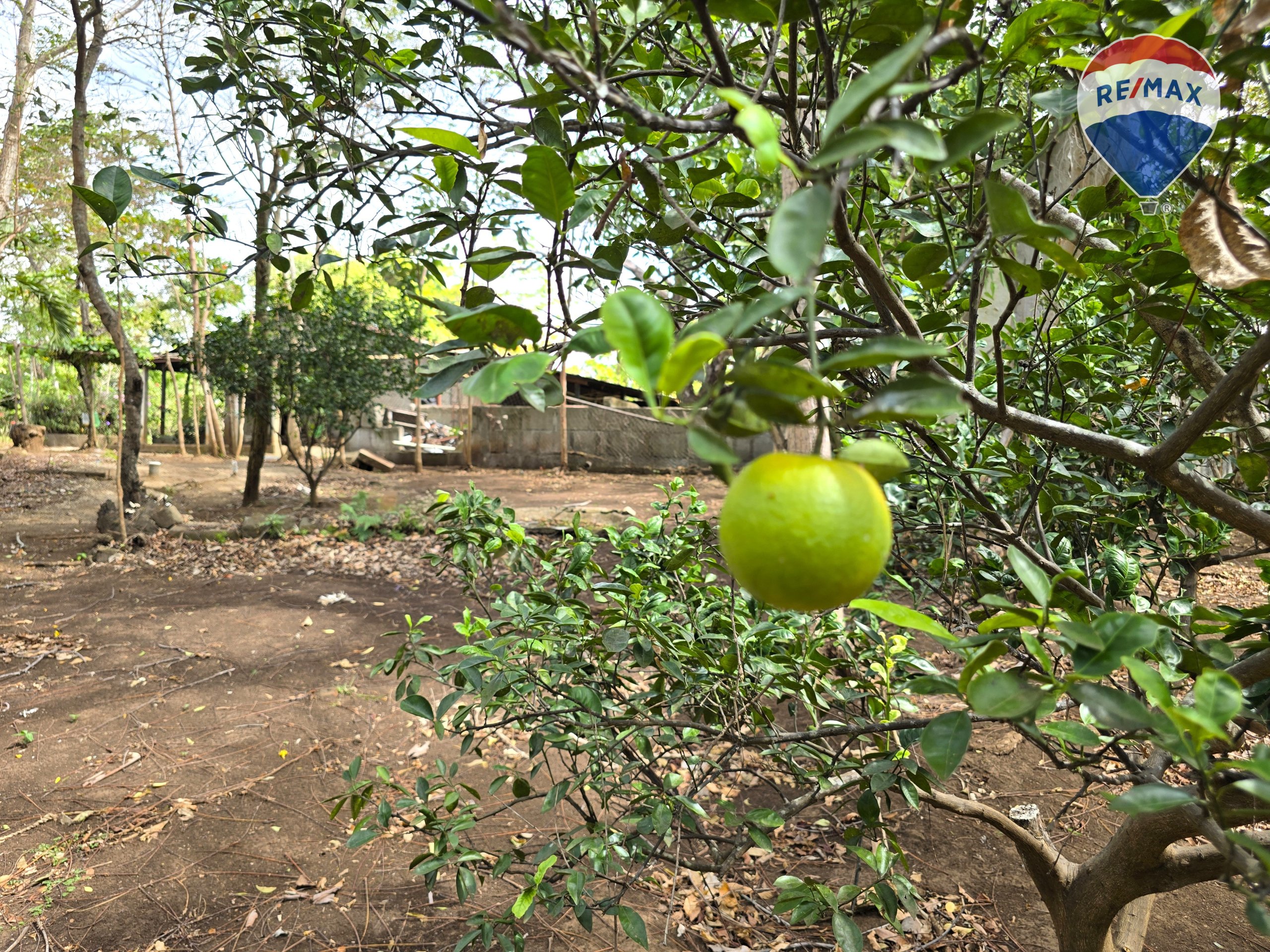 Hermosa Finca de 8 Manzanas cerca del Volcán Mombacho - Image 52