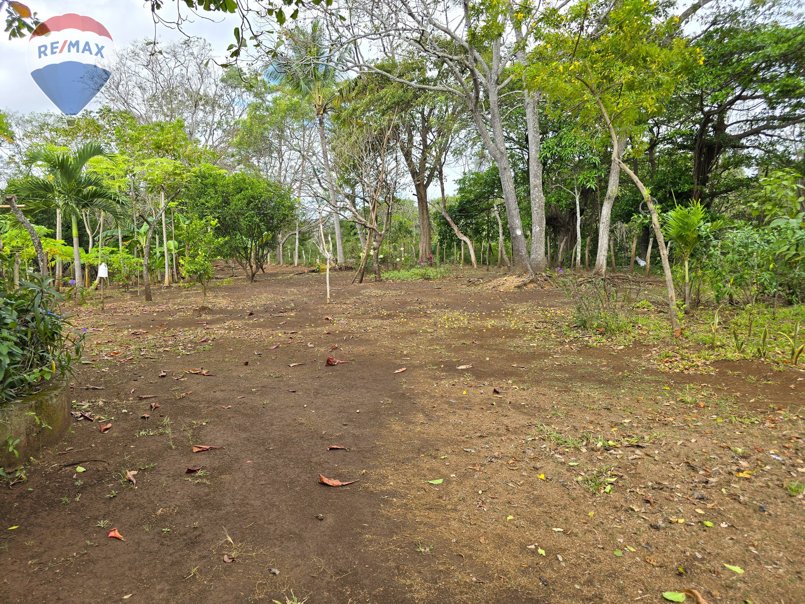 Hermosa Finca de 8 Manzanas cerca del Volcán Mombacho - Image 9