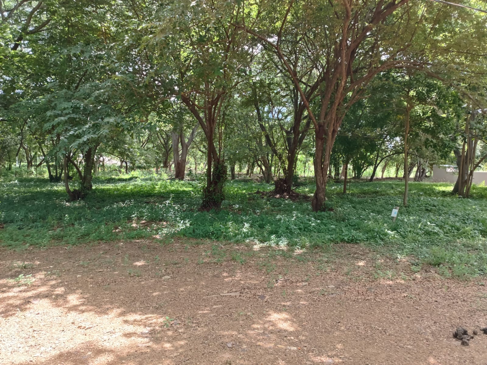 SOLD - Resale Lot B15 in Bosques Del Mar