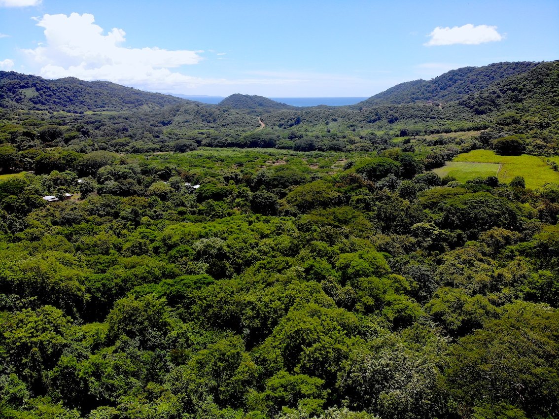 Embrace nature with almost 3 Acres in Las Fincas, south of San Juan del Sur - Image 7