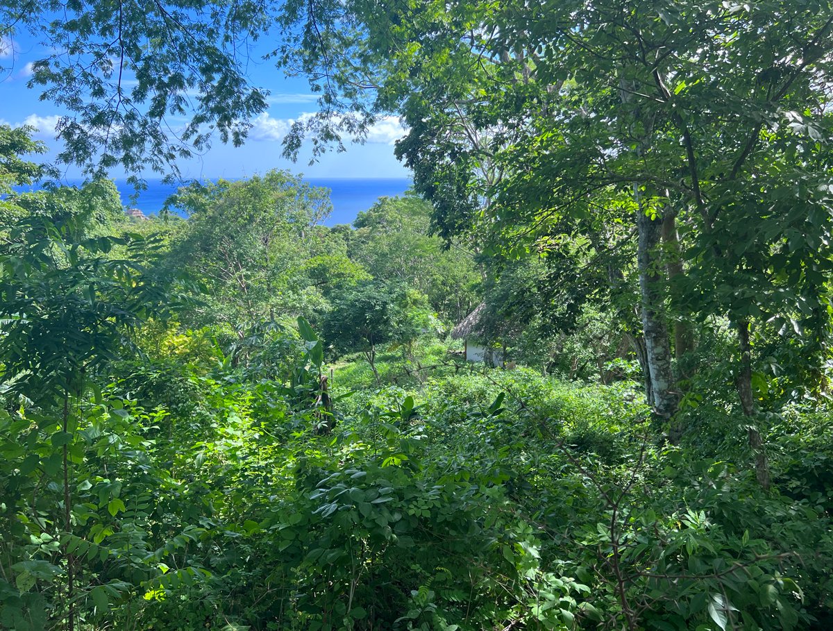Nearly an Acre near Maderas Beach - Image 4