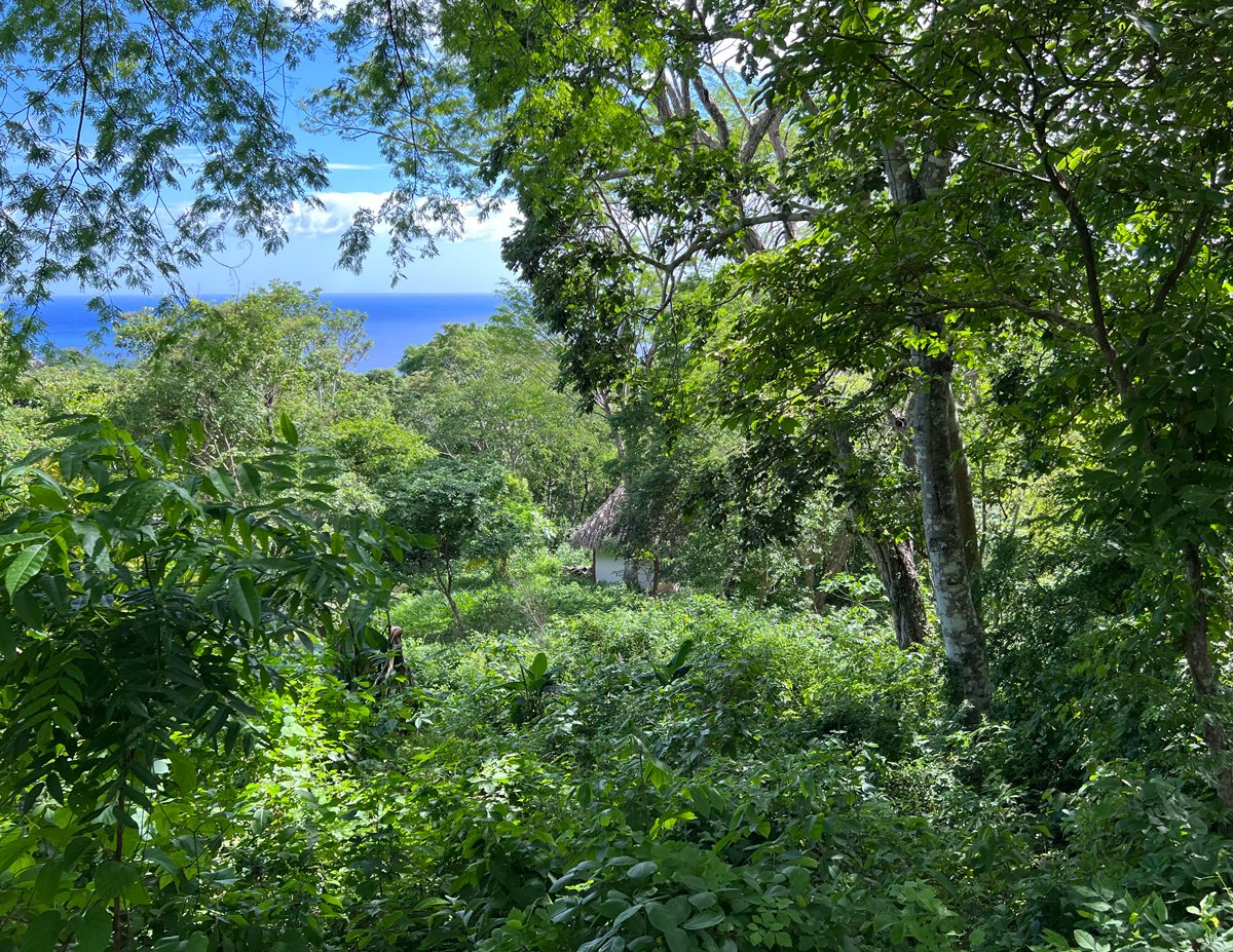 Nearly an Acre near Maderas Beach - Image 6