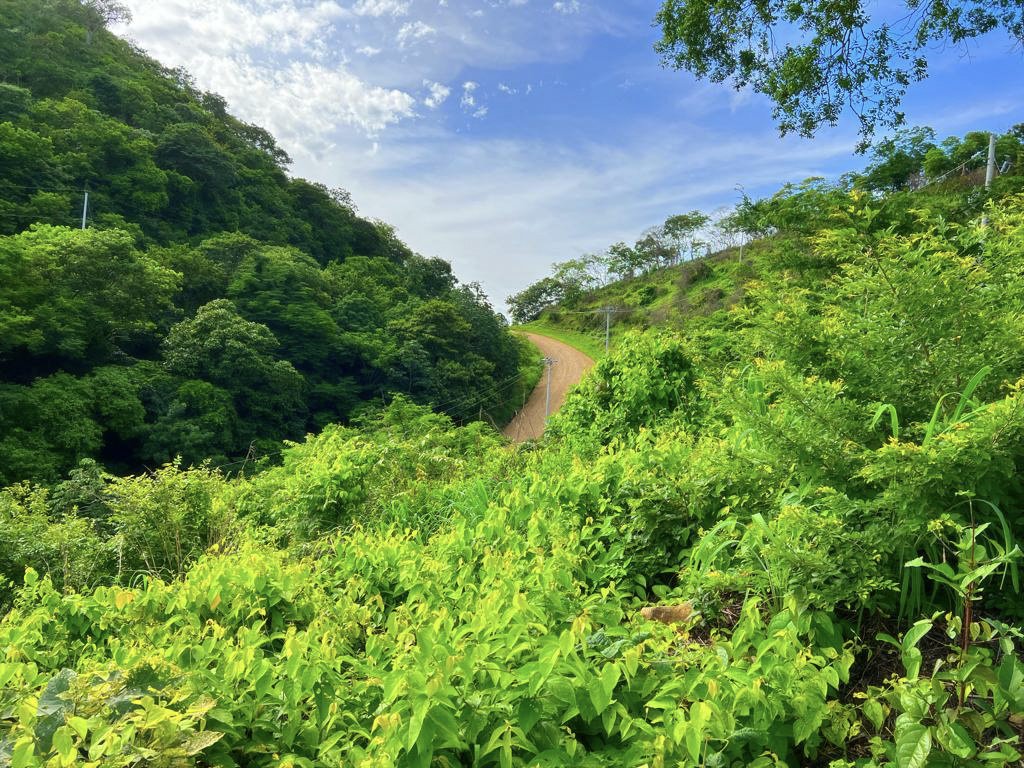 Flat Ocean-View Lot | Only 3 Minutes From Town