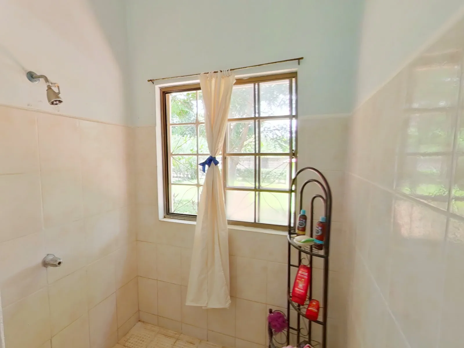 Expansive Compound on Ometepe Island - Image 22