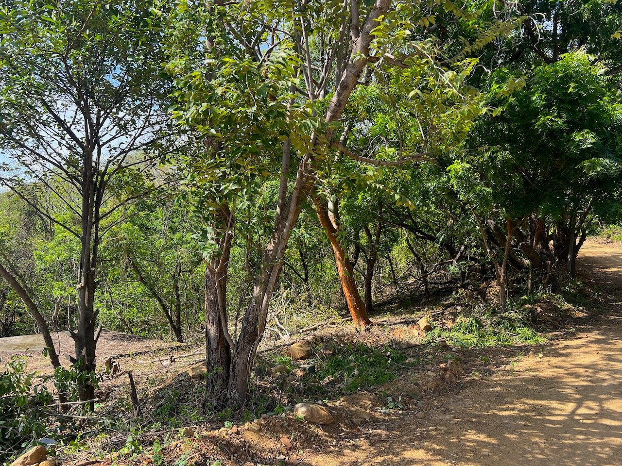 SOLD- Small Lot in Prime Location – Close to Beaches & San Juan Del Sur - Image 9