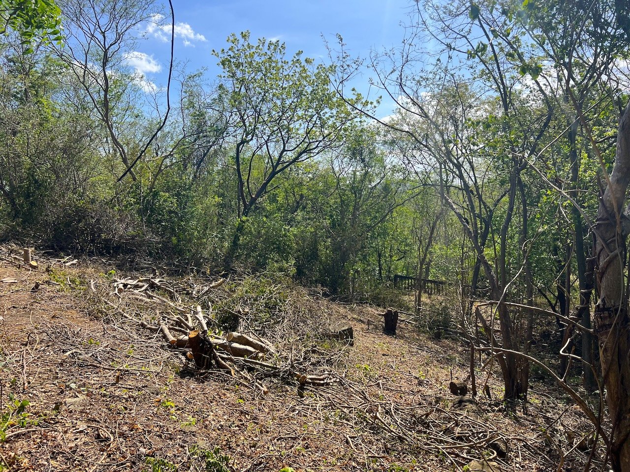 SOLD- Small Lot in Prime Location – Close to Beaches & San Juan Del Sur - Image 10