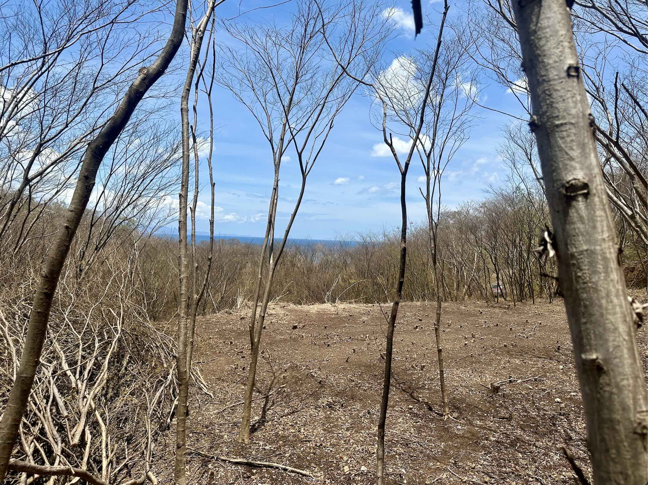 Flat Lot Near Playa Yankee in San Juan Del Sur, Nicaragua - Image 4