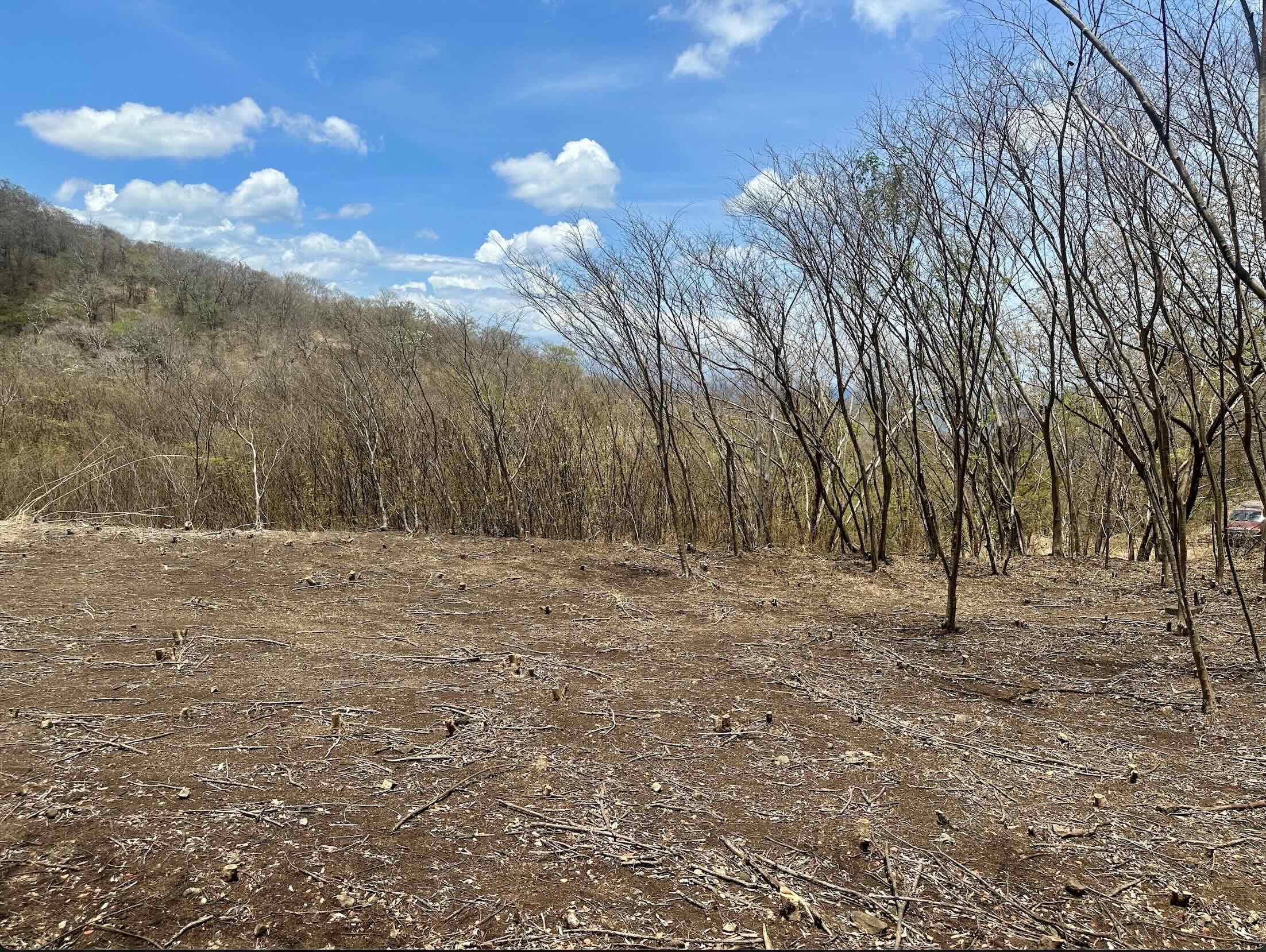 Flat Lot Near Playa Yankee in San Juan Del Sur, Nicaragua - Image 5